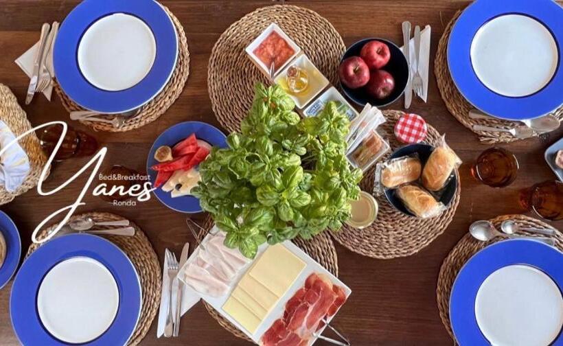 스탠다드 테라스 룸, Yanes Bed And Breakfast Ronda