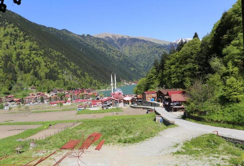 Quarto Triplo Estandar, Paradi̇se Lake