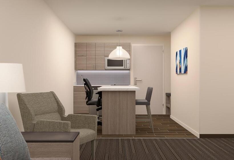 스탠다드 스튜디오 킹침대, Hyatt House Sacramento Airport   Natomas