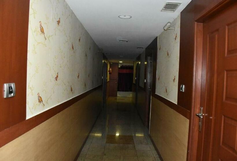 高级单人间, Everest Park Residency