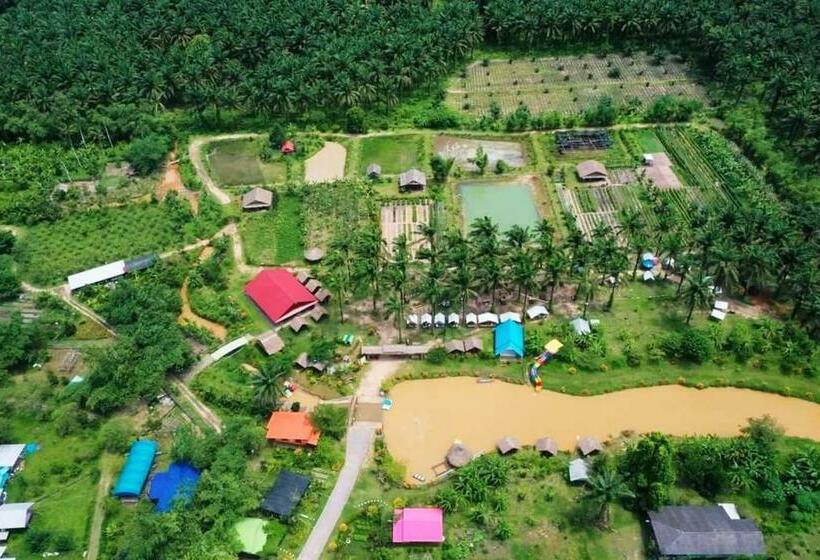 Номер Стандарт Вид на Бассейн, Phonphusang Utopia Farmstay