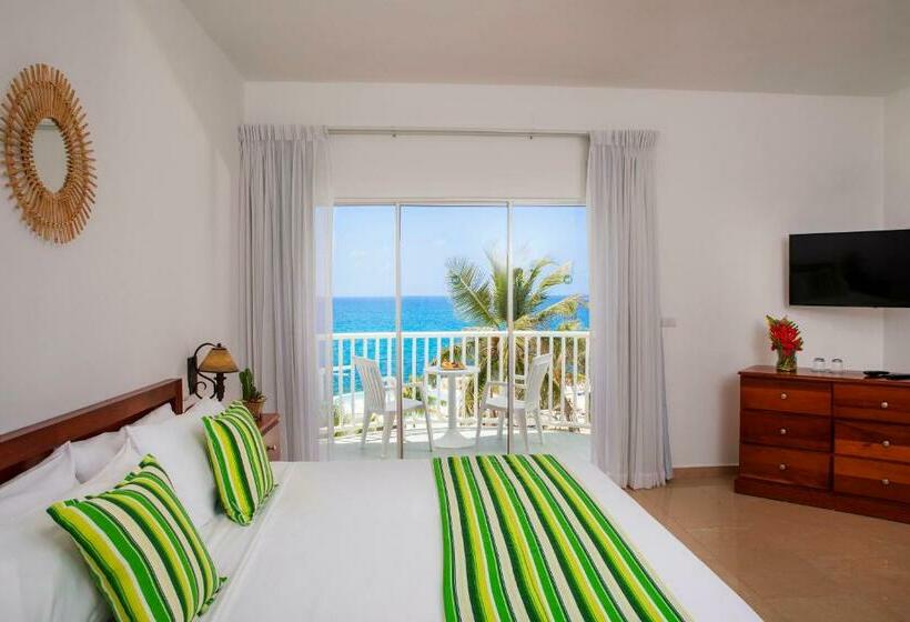 带海景的标准房, Hm Alma de Bayahibe - Adults Only