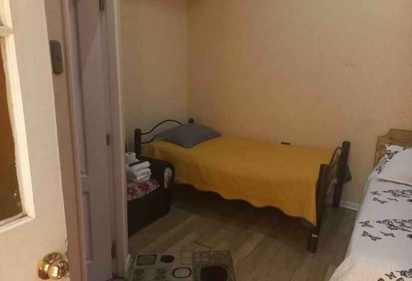 Номер Стандарт, Arauco Ovalle