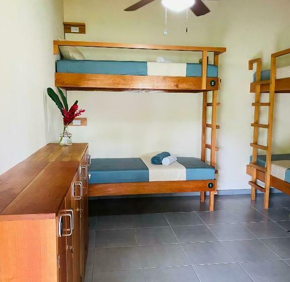 Четырехместный Номер Стандарт, El Hostel Del Patio