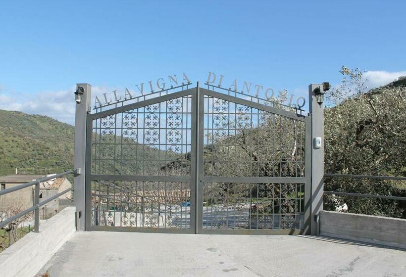 Номер Стандарт, Alla Casa Di Antonio