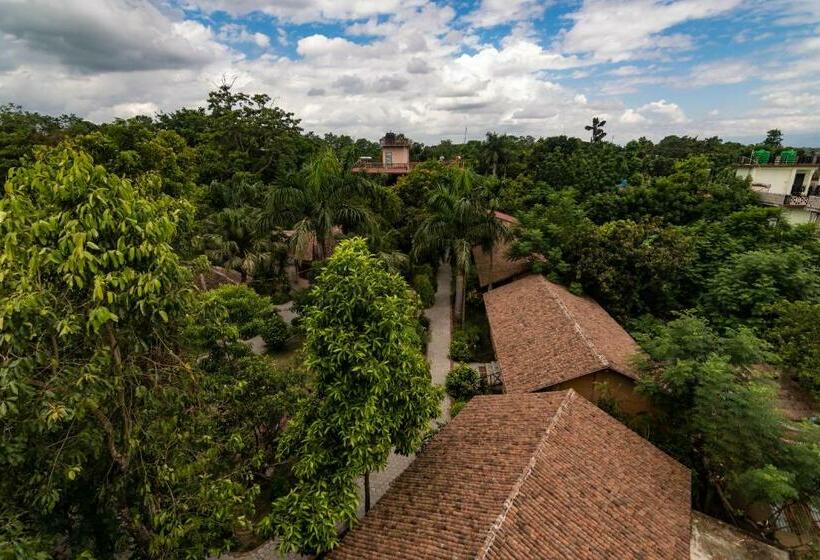 Standard Room Garden View, Eden Jungle Resort