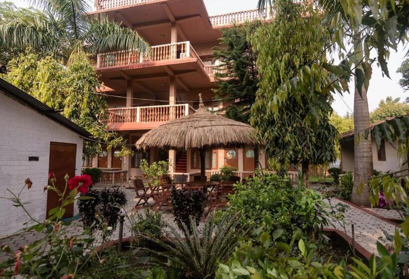 Standard Room, Eden Jungle Resort