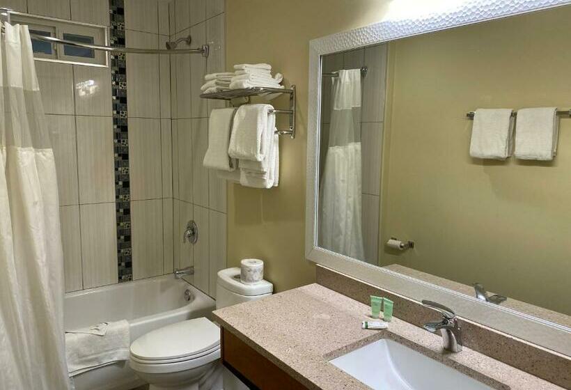 Номер Deluxe, Sahara Courtyard Inn Osoyoos