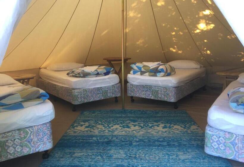 מיטה בחדר משותף, Te Anau Lakefront Backpackers