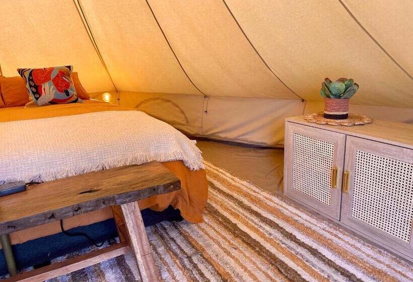 Standard Tent, Te Anau Lakefront Backpackers