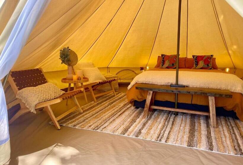 Standard Tent, Te Anau Lakefront Backpackers