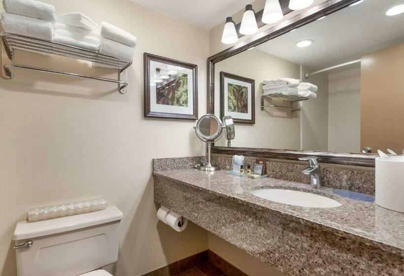 Номер Стандарт, Best Western Plus Cedar City