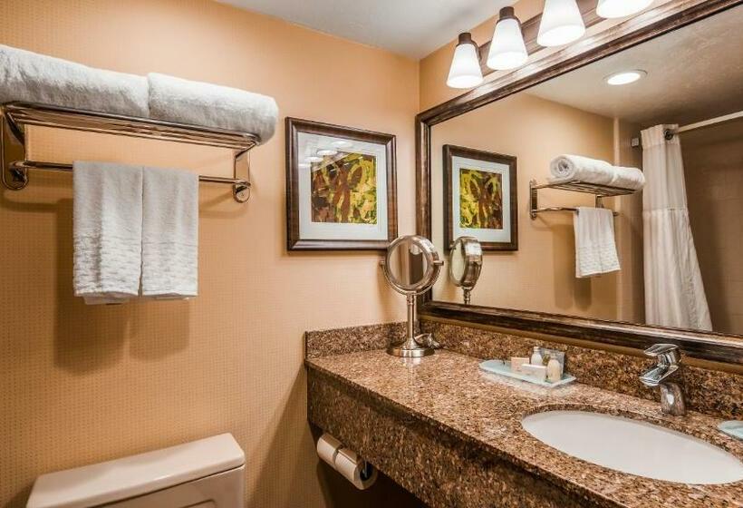 Номер Стандарт, Best Western Plus Cedar City
