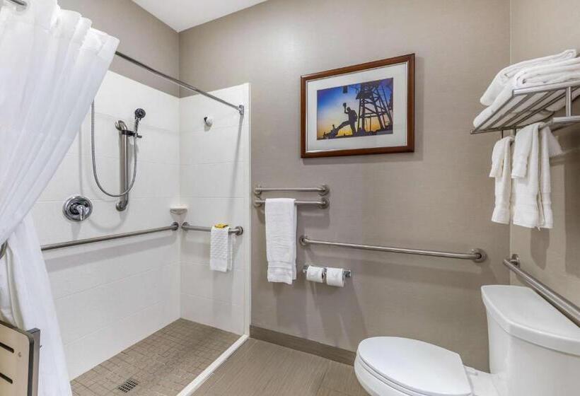 Номер Стандарт Кровать Кинг Адаптированный для Инвалидов, Best Western Plus Taft Inn