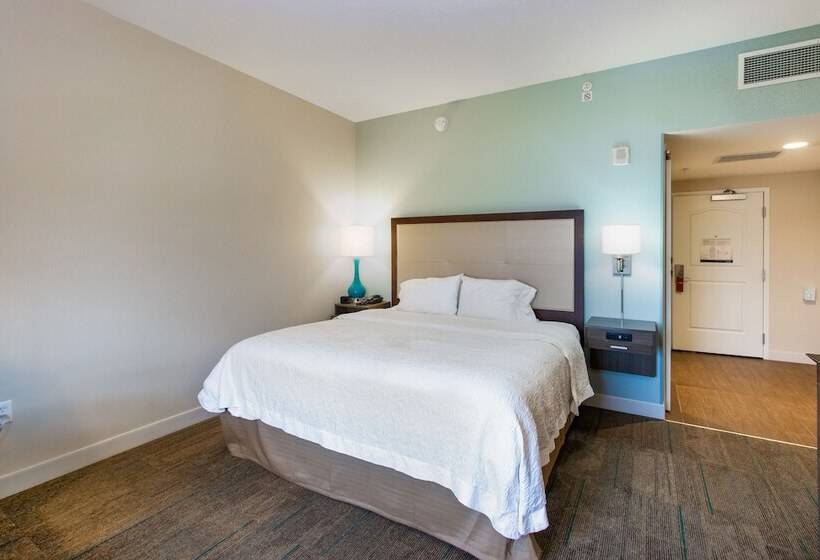 Студия Стандарт Двуспальная Кровать, Hampton Inn & Suites Clearwater Beach
