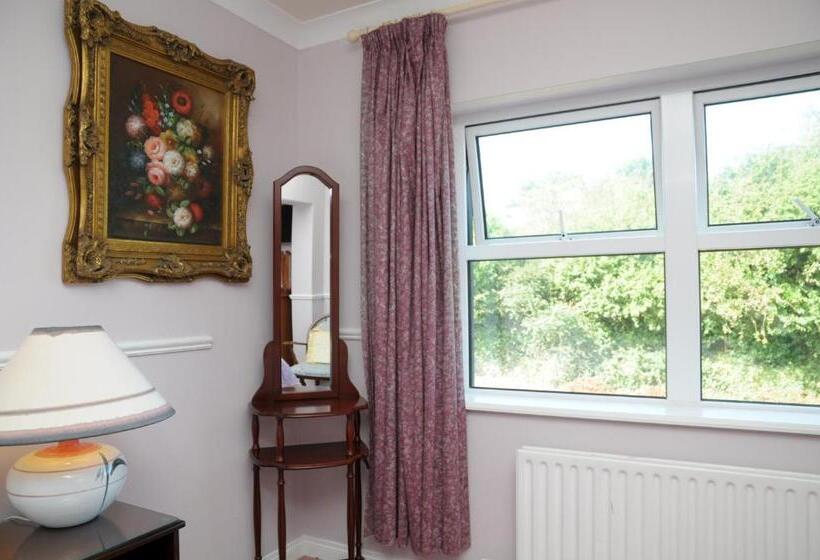 Номер Стандарт, Milltown House Dingle
