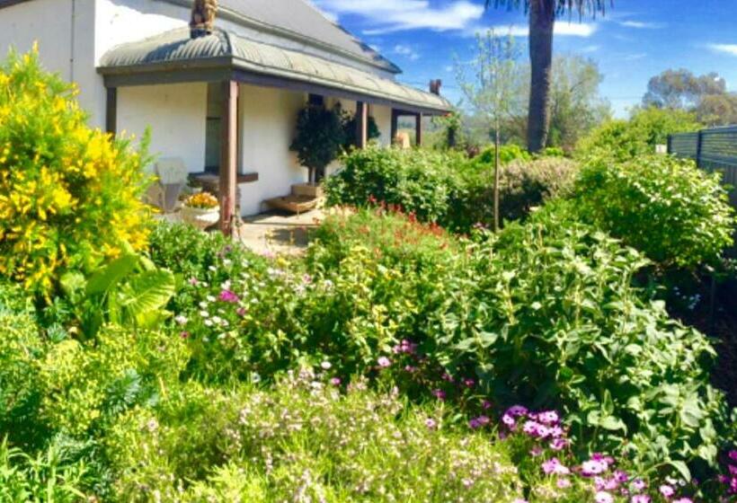 디럭스 코티지, Terra Firma Mclaren Vale