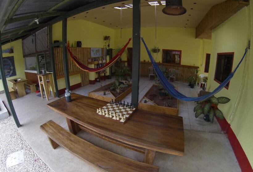 חדר בסיסי לשלושה, Indra Inn