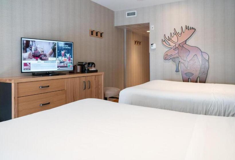 高级大房间, Moose Hotel And Suites