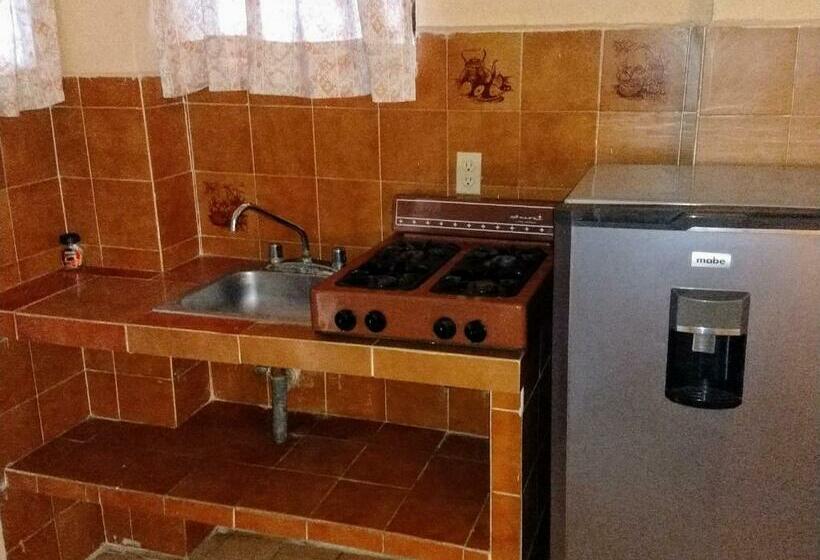 Quarto Estandar, Terramar