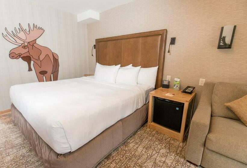 디럭스 룸 킹사이즈 침대, Moose Hotel And Suites