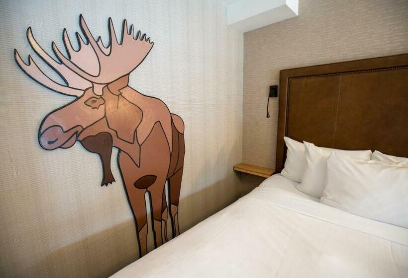 带大床的高级房间, Moose Hotel And Suites