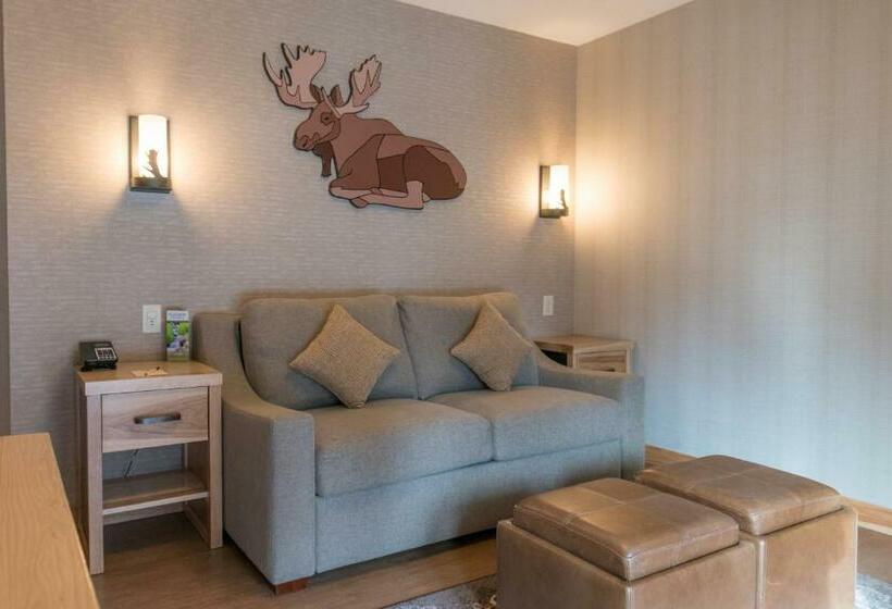 带大床的套房, Moose Hotel And Suites