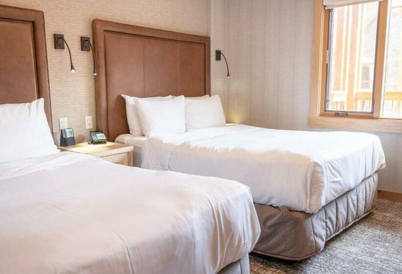 套房, Moose Hotel And Suites