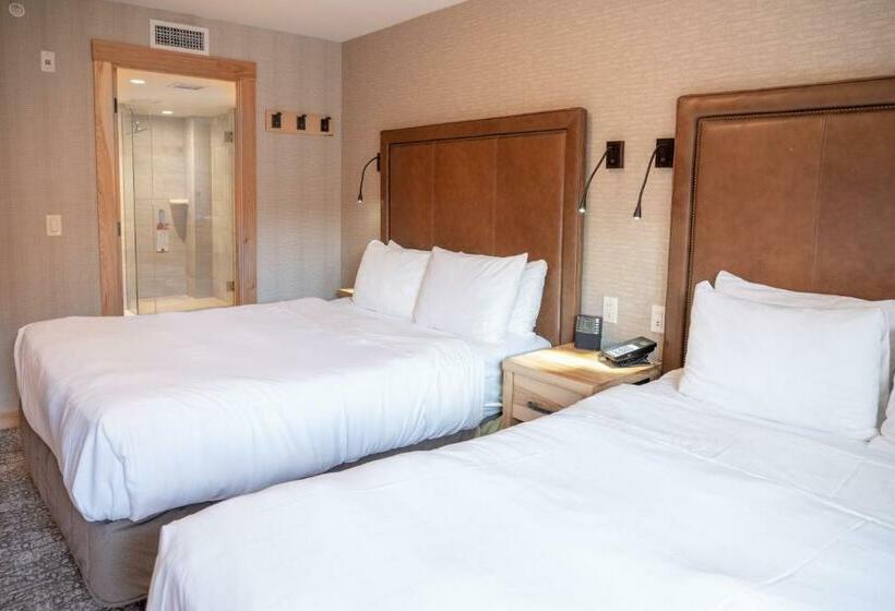 스위트, Moose Hotel And Suites