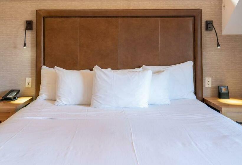 套房, Moose Hotel And Suites