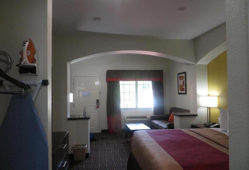 스탠다드 룸 킹사이즈 침대, Scottish Inns & Suites Spring   Houston North