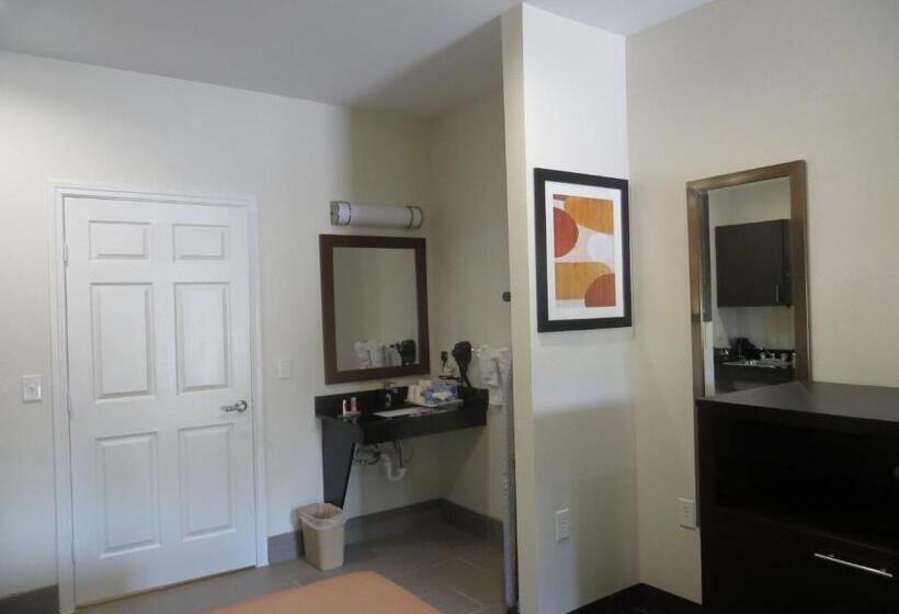스탠다드 룸 킹사이즈 침대, Scottish Inns & Suites Spring   Houston North