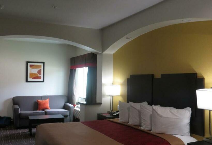 스탠다드 룸 킹사이즈 침대, Scottish Inns & Suites Spring   Houston North