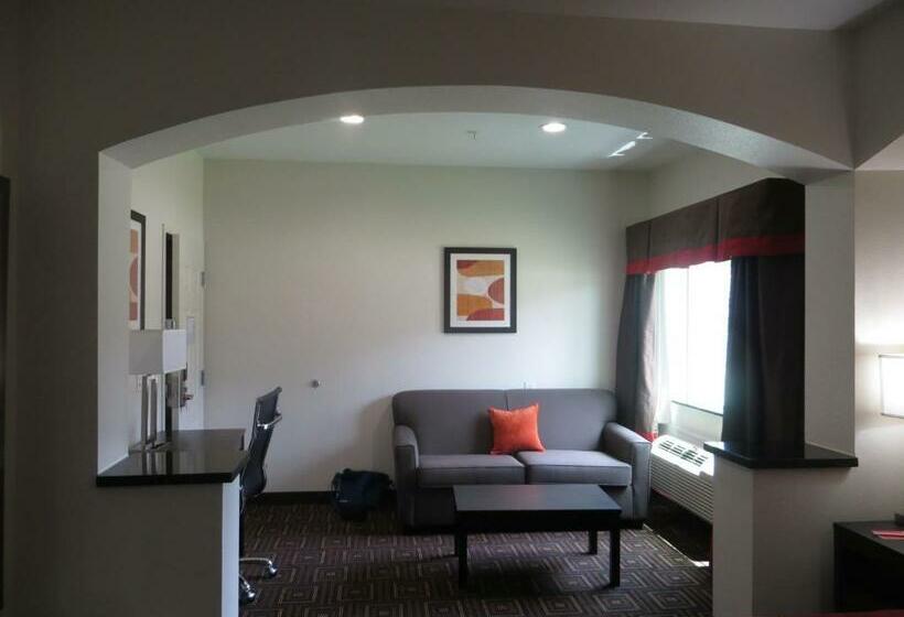 Стандартный Номер Кровать Кинг, Scottish Inns & Suites Spring   Houston North