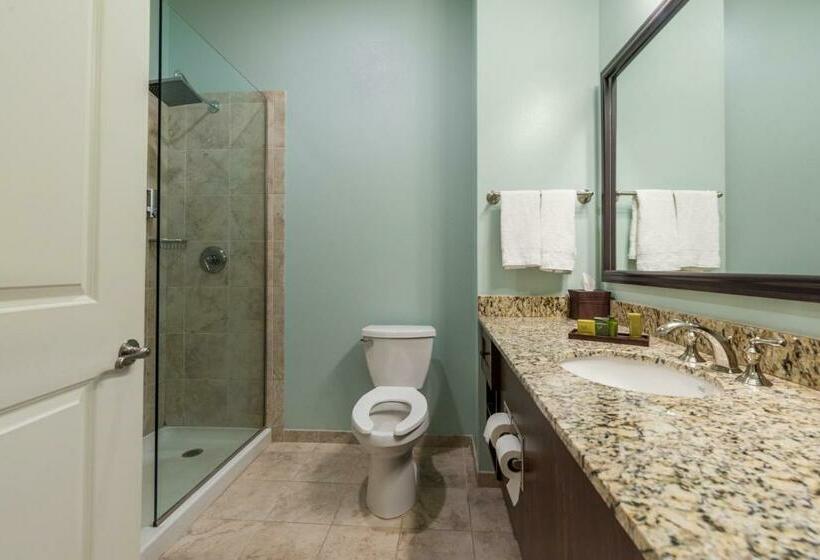 Номер Deluxe Кровать Кинг, Chateau Saint Denis A Historic Hotel Downtown Natchitoches