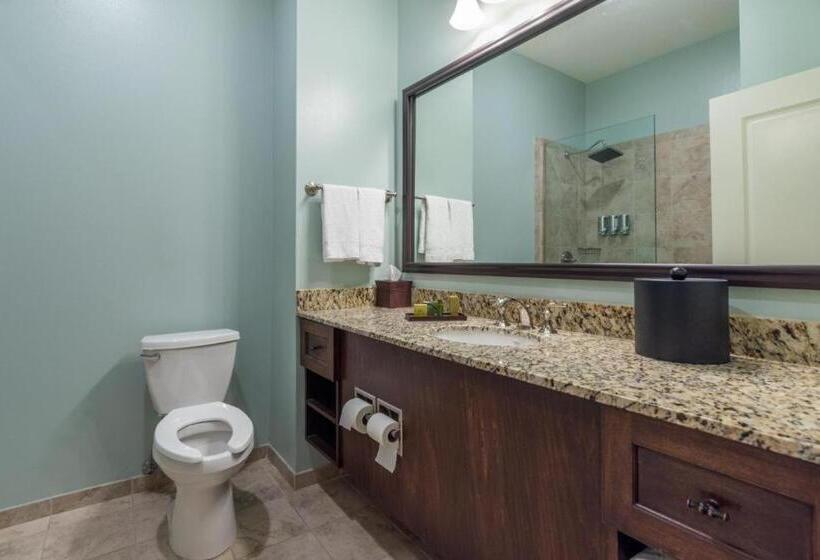 Номер Deluxe Кровать Кинг, Chateau Saint Denis A Historic Hotel Downtown Natchitoches