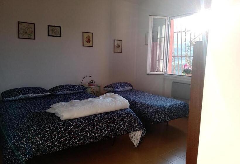 标准间, Poggio Agli Ulivi