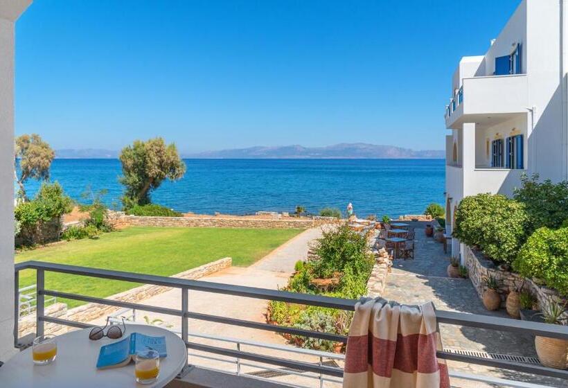 اتاق استاندارد, Pelagia Aphrodite