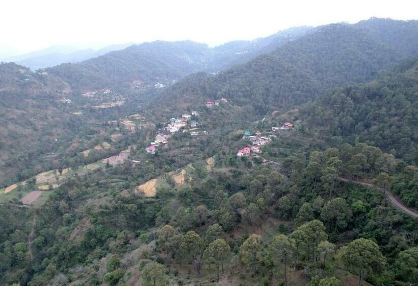 Номер Стандарт Вид на Горы, Himalayan Hits Kasauli