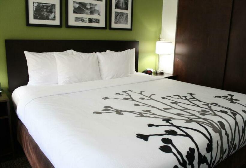 스탠다드 룸 킹사이즈 침대, Sleep Inn Ellenboro Hwy 50