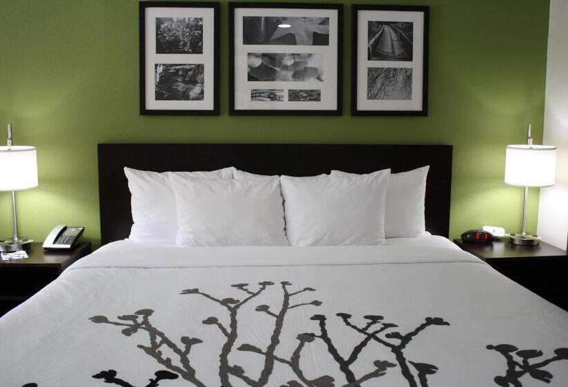 스위트 킹사이즈 침대, Sleep Inn Ellenboro Hwy 50