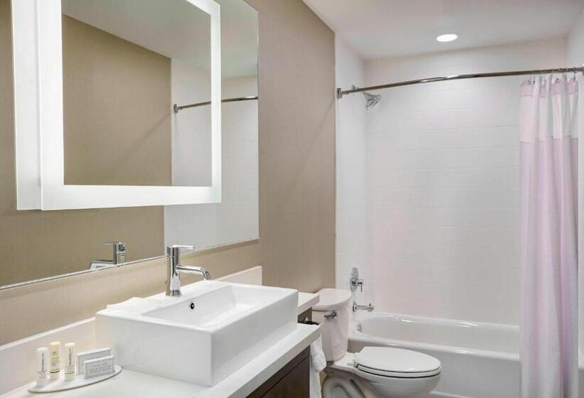 带大床的套房, Springhill Suites By Marriott Milwaukee Downtown