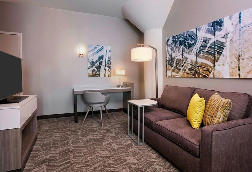套房, Springhill Suites By Marriott Milwaukee Downtown
