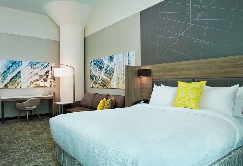 行政套房, Springhill Suites By Marriott Milwaukee Downtown