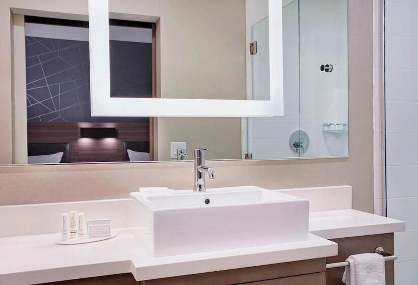 行政套房, Springhill Suites By Marriott Milwaukee Downtown