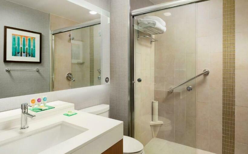 اتاق استاندارد با تخت بزرگ, Hyatt Place Lubbock