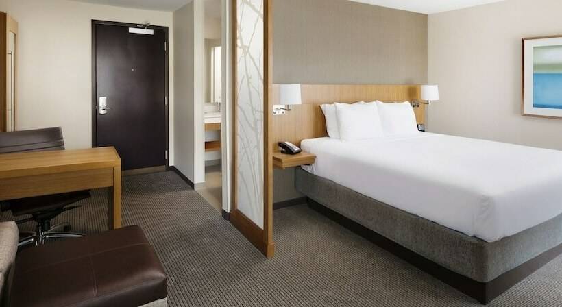 اتاق استاندارد با تخت بزرگ, Hyatt Place Lubbock