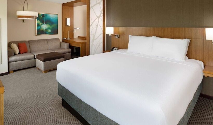 اتاق استاندارد با تخت بزرگ, Hyatt Place Lubbock