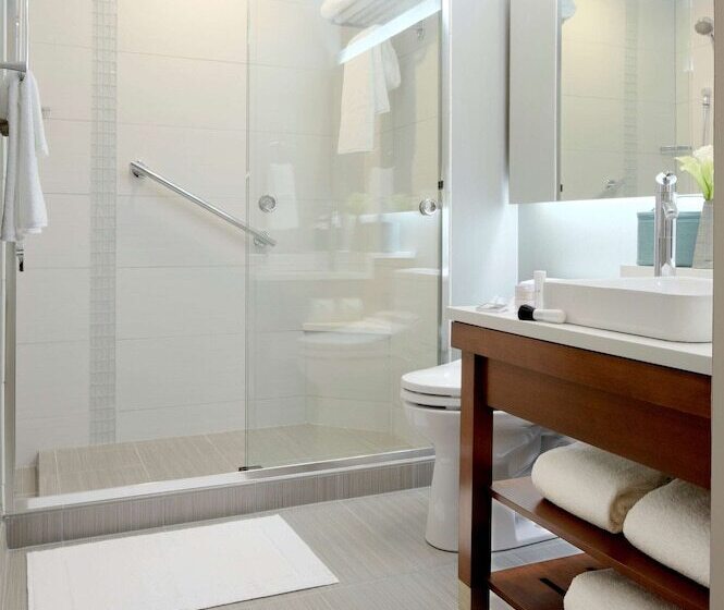 اتاق استاندارد با تخت بزرگ, Hyatt Place Lubbock