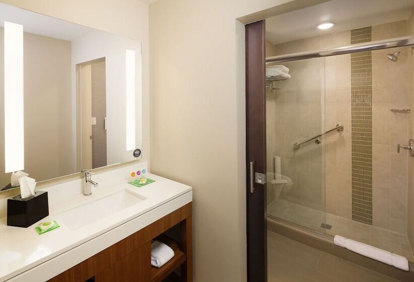 اتاق استاندارد با تخت دو نفره بزرگ, Hyatt Place Lubbock